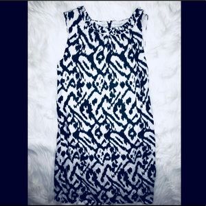 Navy and white Loft shift dress-cute neck detail
